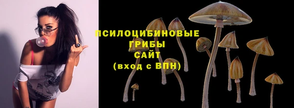 хмурый Абинск