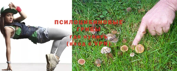 амф Абаза