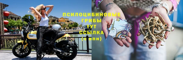 амф Абаза